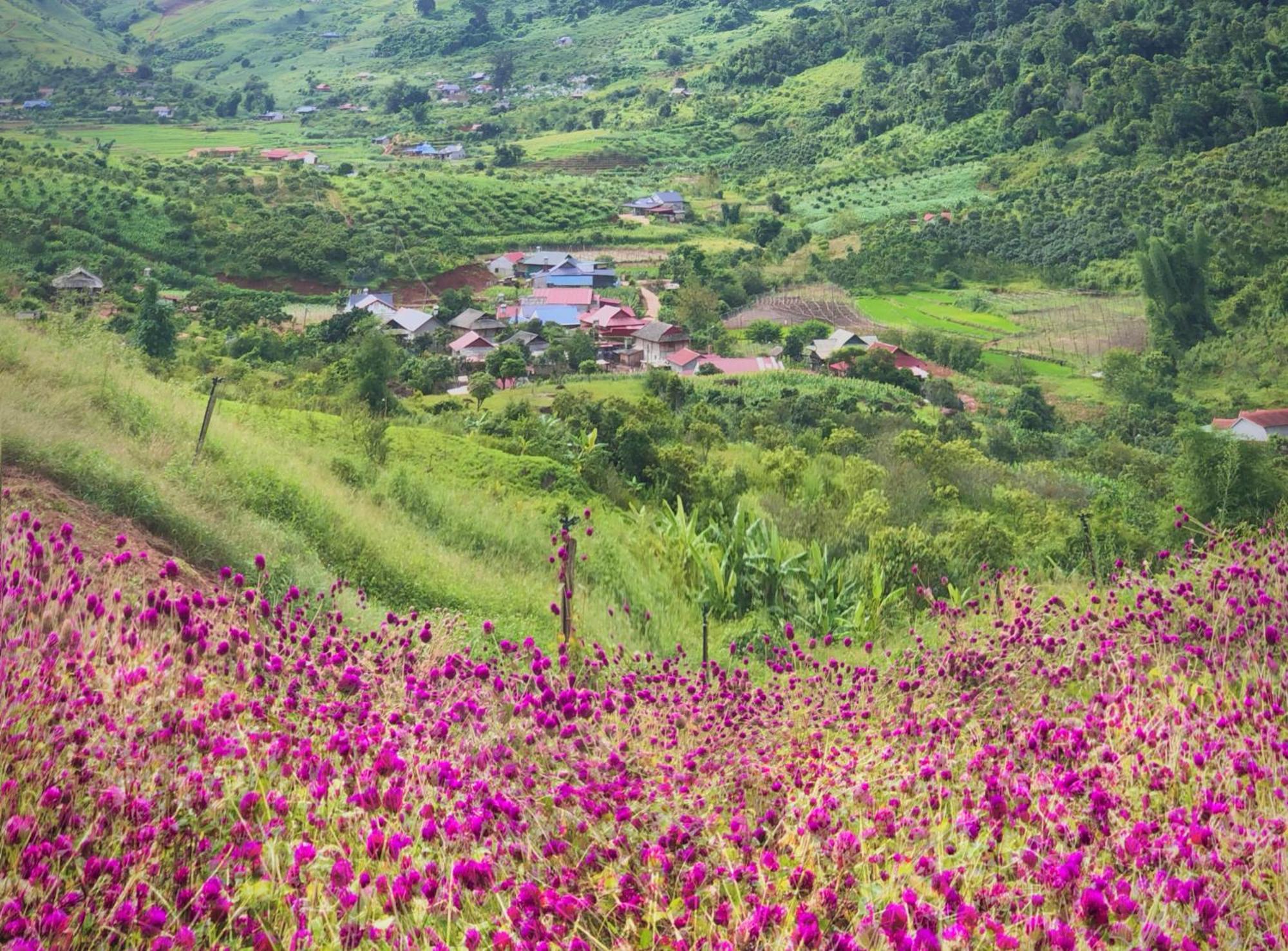 Muong Sang Farmstay Моктяу Екстер'єр фото